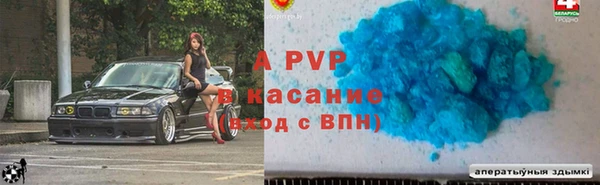 ПСИЛОЦИБИНОВЫЕ ГРИБЫ Пересвет