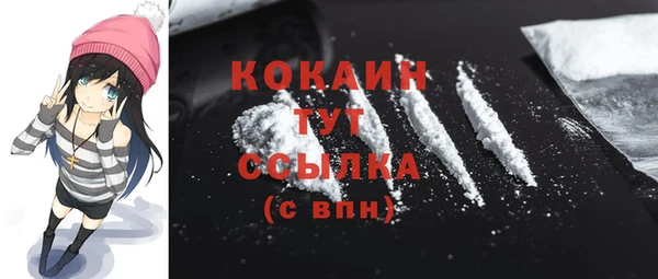 гидра Абаза