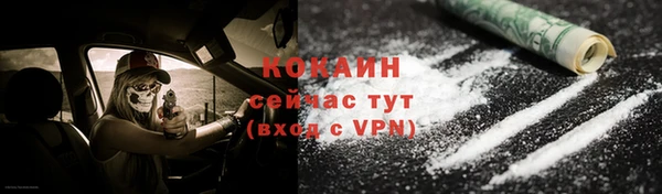 гидра Абаза