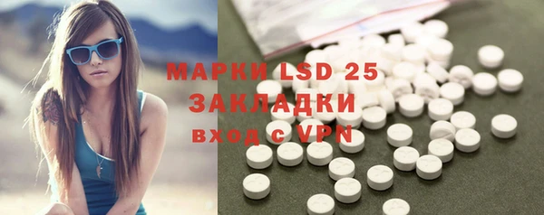 ГАЛЛЮЦИНОГЕННЫЕ ГРИБЫ Пестово