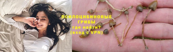 ПСИЛОЦИБИНОВЫЕ ГРИБЫ Пересвет