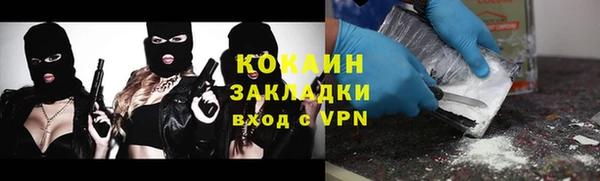гидра Абаза
