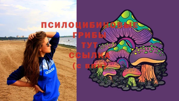 ПСИЛОЦИБИНОВЫЕ ГРИБЫ Пересвет