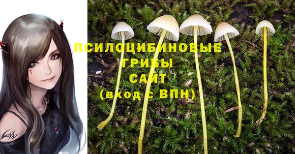 амфетамин Абинск