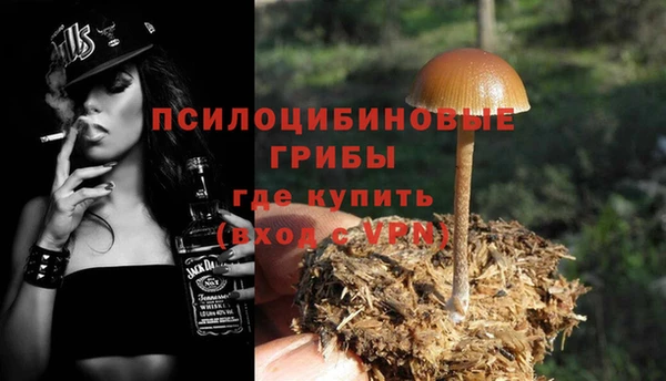 гидра Абаза