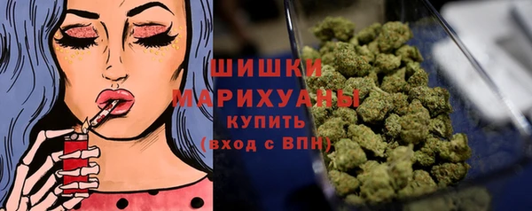 гидра Абаза