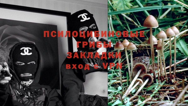 ешки Переславль-Залесский