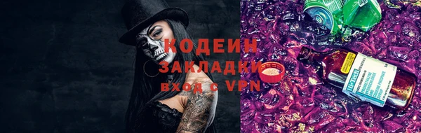 гидра Абаза