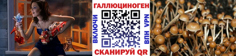 хочу наркоту  Инза  Галлюциногенные грибы ЛСД 